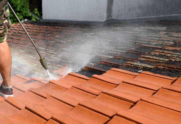 Best Garage Pressure Washing  in Jackson, LA