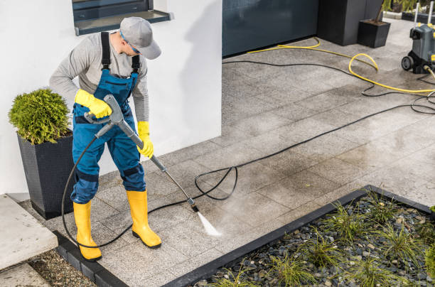 Best Best Pressure Washing Companies  in Jackson, LA