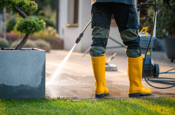 Best Roof Power Washing Services  in Jackson, LA